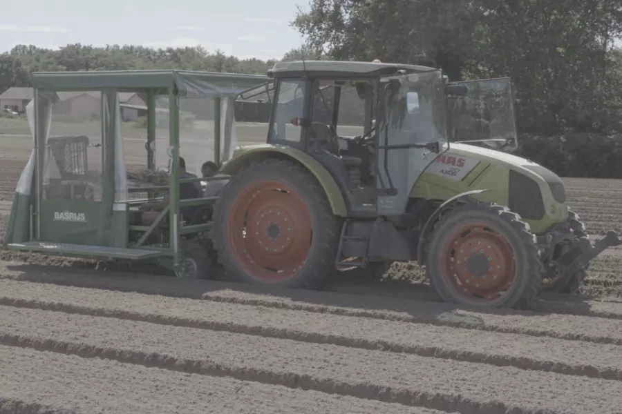 Planteuse de poireaux Basrijs