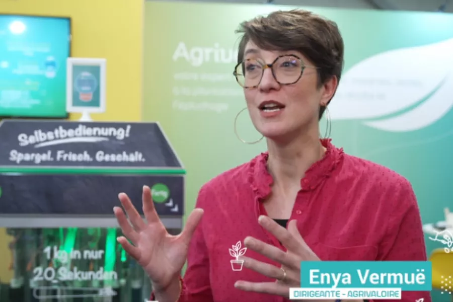 Sival Innovation éplucheuse asperge Agrivaloire