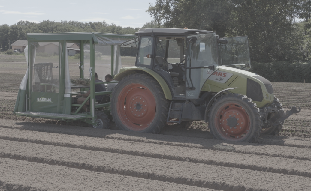 Planteuse de poireaux Basrijs