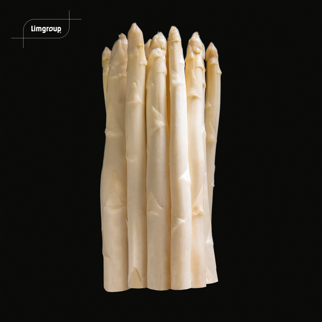 Geynlim griffes d'asperges blanches