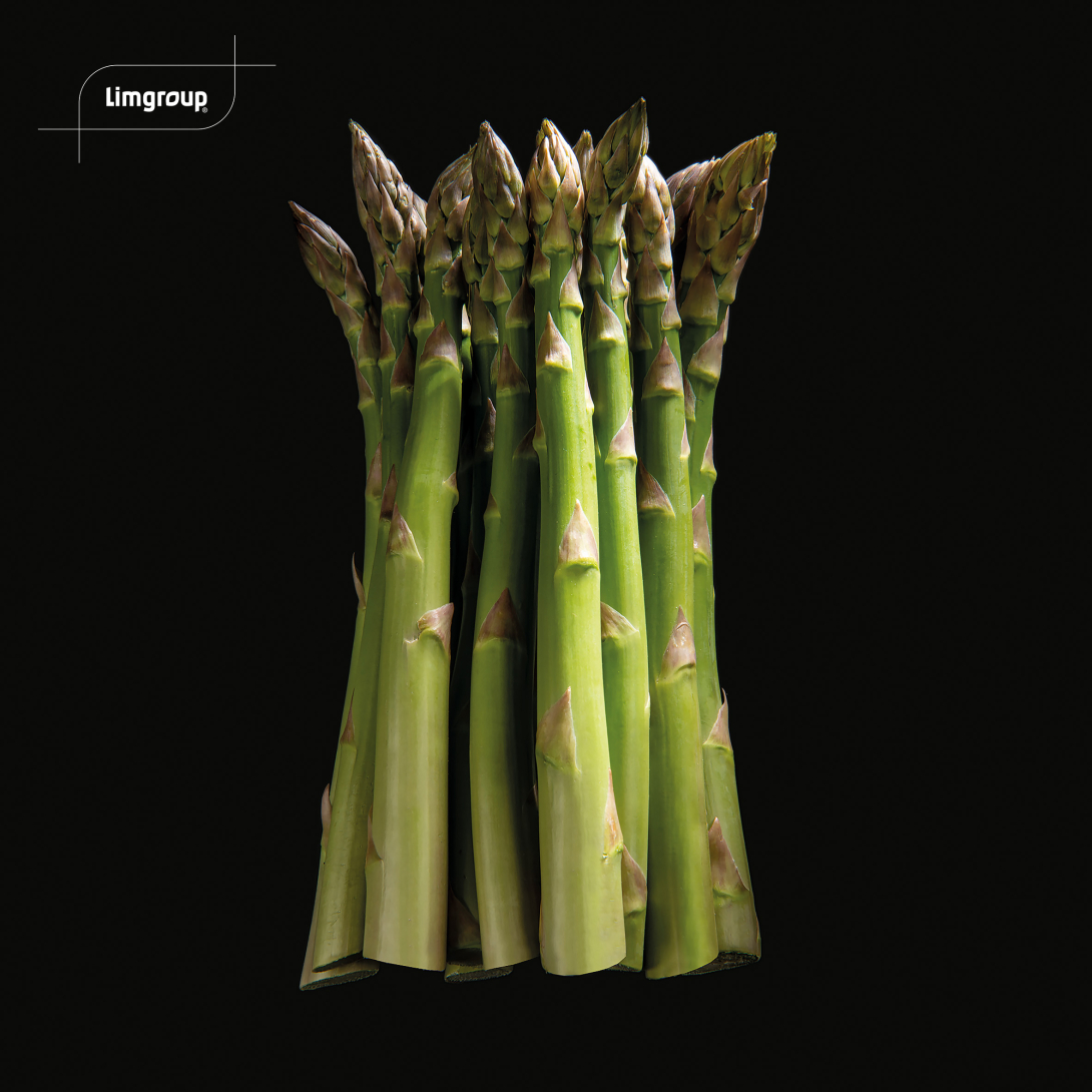 Javelim griffes d'asperges