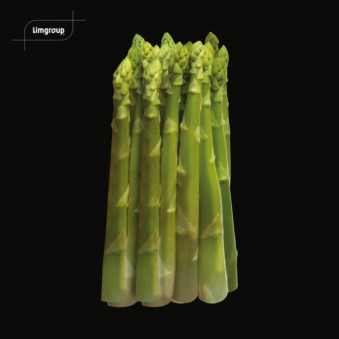 Xenolim griffes d'asperges
