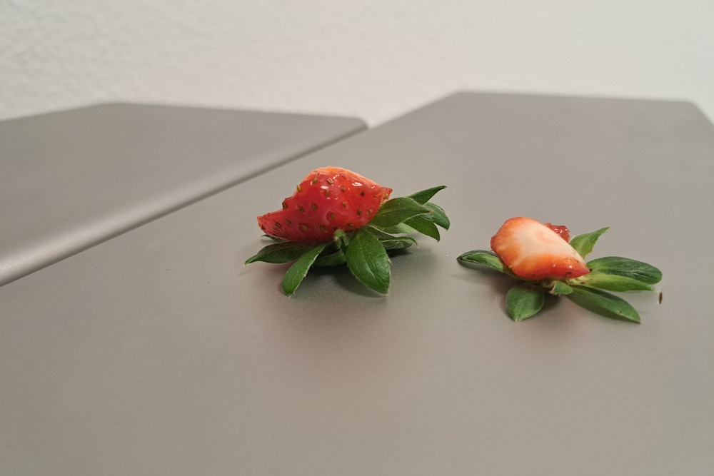 TDM Machine à équeuter et à couper les fraises Tenrit Agrivaloire