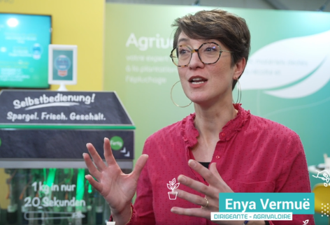 Sival Innovation éplucheuse asperge Agrivaloire