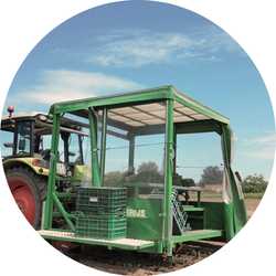 Planteuse de poireaux Basrijs